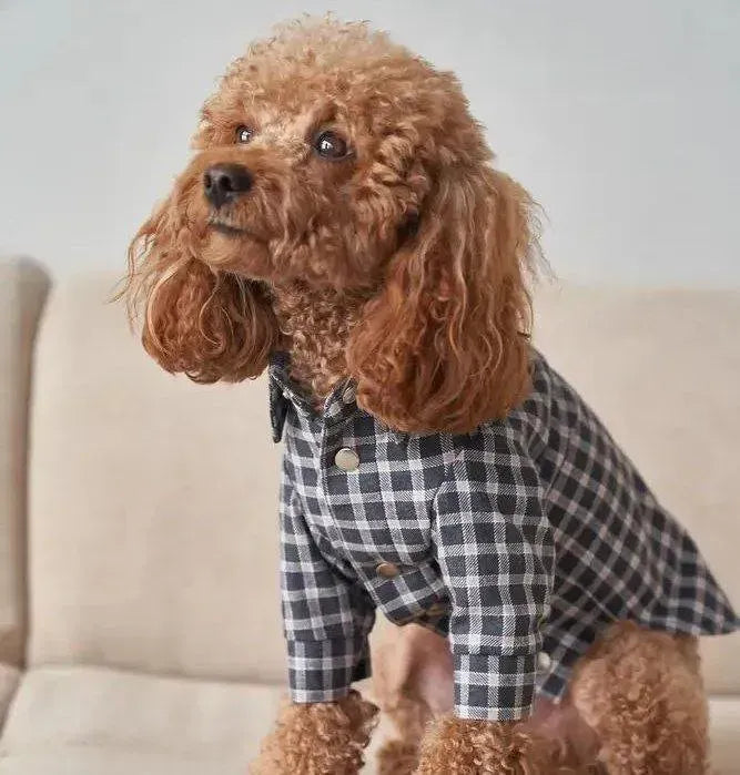 Koszula w paski dla psa – 100% bawełna, ręczne szycie w kolorze czarnym