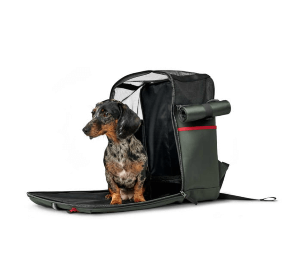 Hunter plecak Orlando dla psa i kota do 7 kg