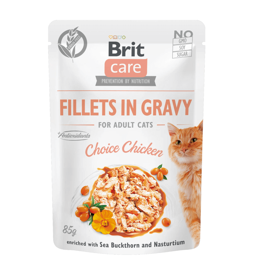 Brit Cat Fillets Chicken + Rokitnik 85g