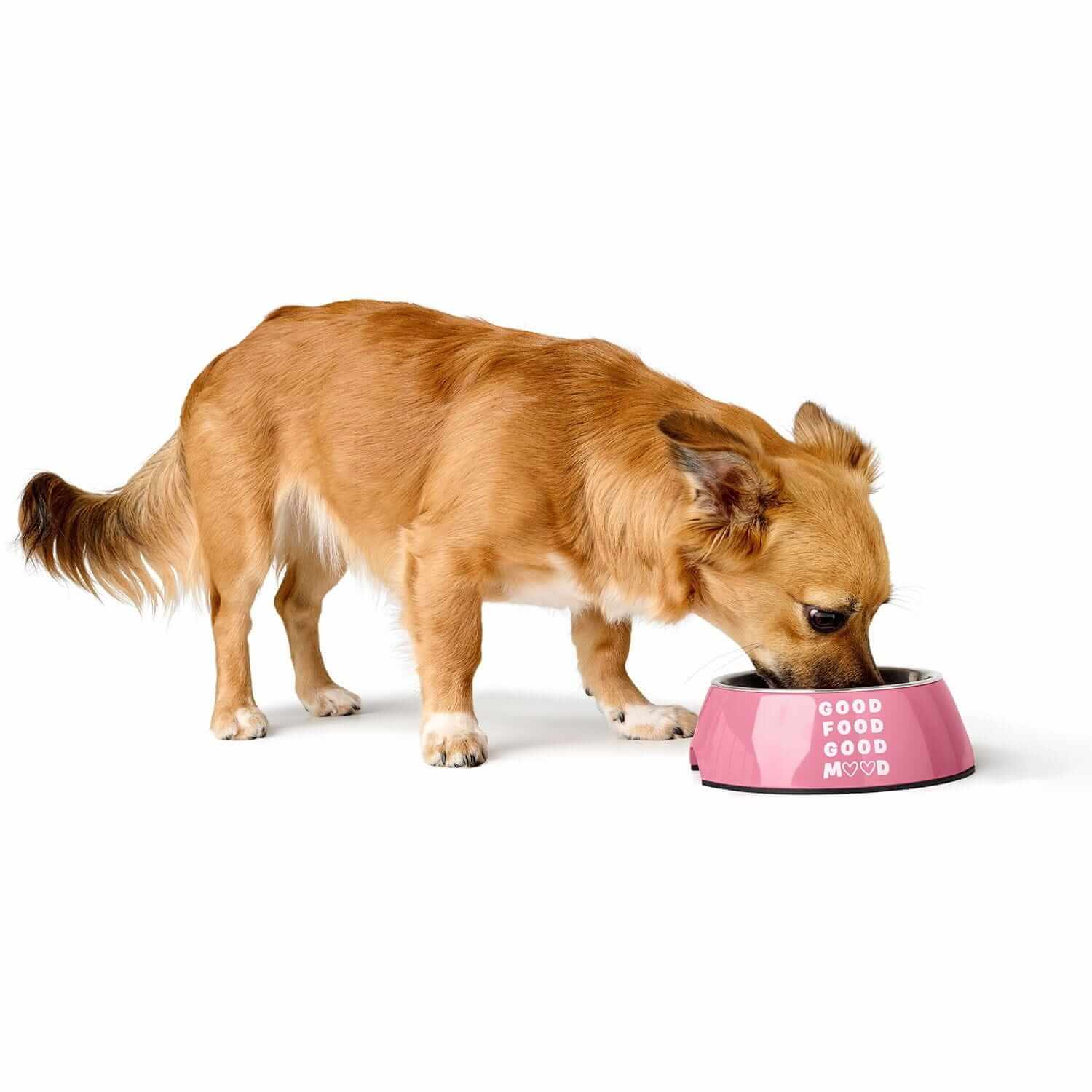 Hunter Miska Chester Różowa – Melamina, Antypoślizgowa