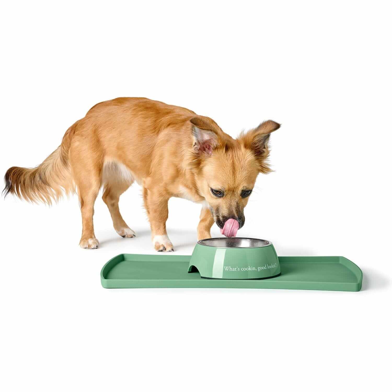 Hunter Miska Kington Zielona – Stylowa i Antypoślizgowa