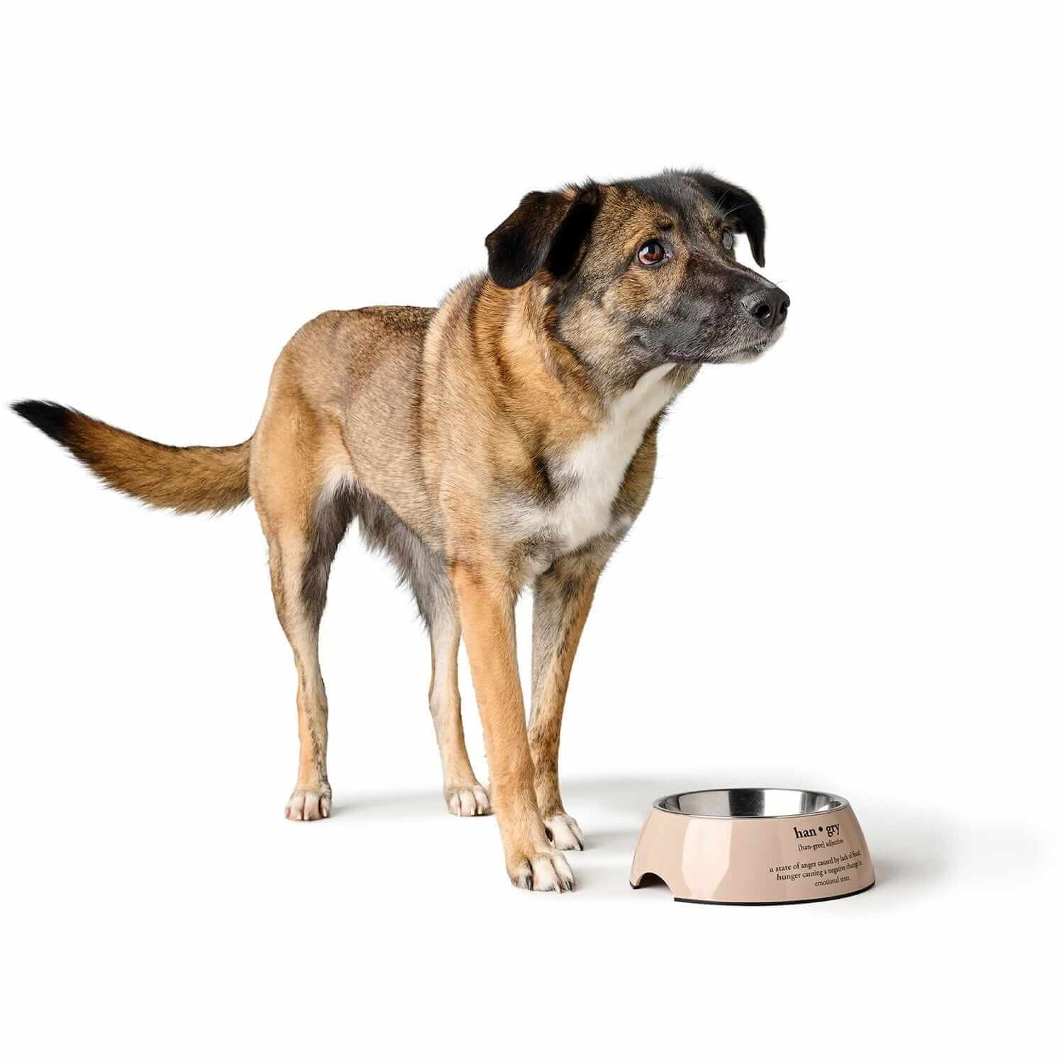 Hunter Miska Luton Beżowa – Stylowa i Antypoślizgowa