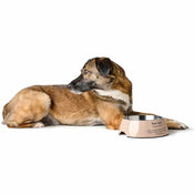 Hunter Miska Luton Beżowa – Stylowa i Antypoślizgowa