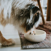 Hunter Miska ceramiczna Lund – stylowa i stabilna