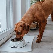 Hunter silikonowa podkładka pod miski Selection