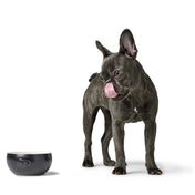 Hunter Miska ceramiczna Lund – stylowa i stabilna