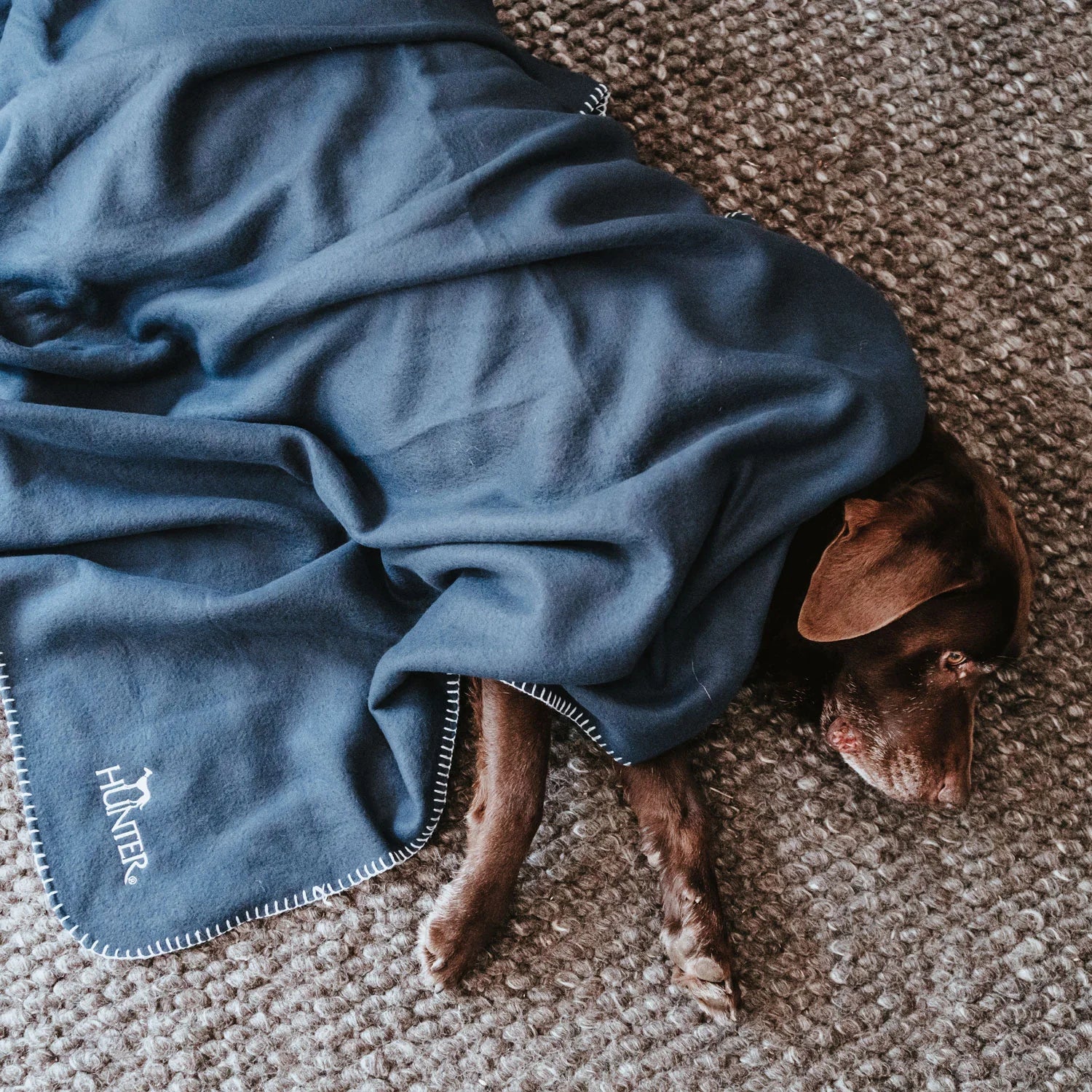 Hunter koc dla psa Casper XXL – miękki, wszechstronny i trwały