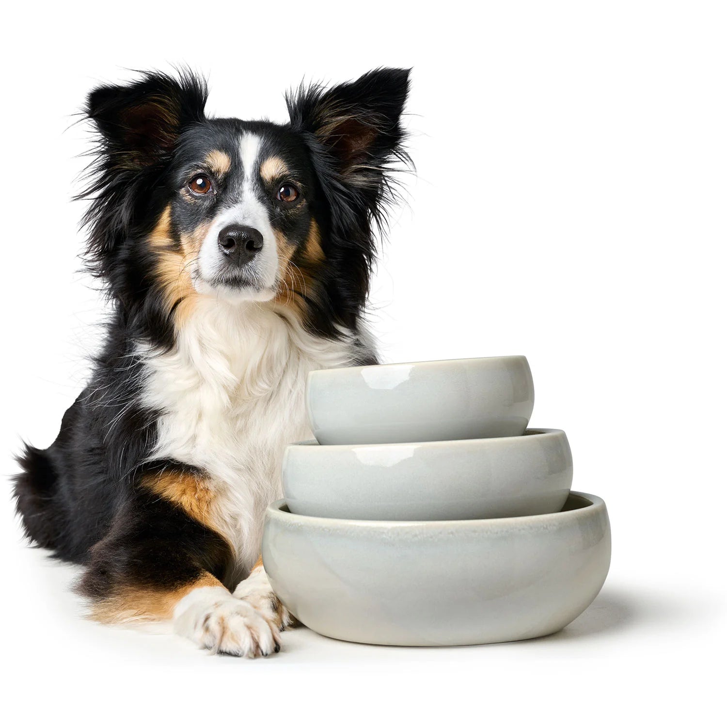 Hunter Miska ceramiczna dla psa Braga – stylowa i unikalna