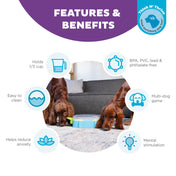 Nina Ottosson Paw N' Play – gra interaktywna dla psa