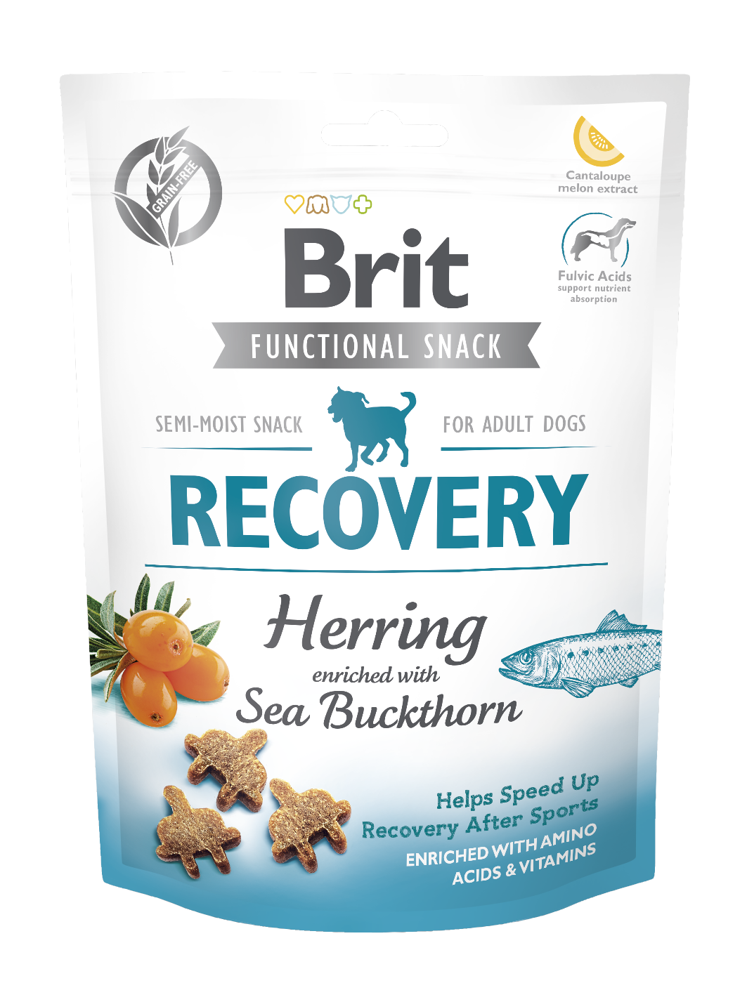 Brit Functional Recovery Herring – przysmaki regeneracyjne