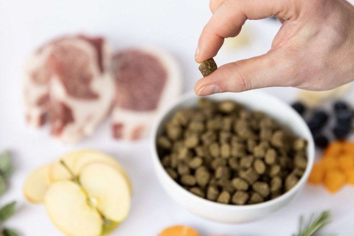 Karma dla psa półwilgotna YDOLO Iberico – 75% mięsa, bezzbożowa