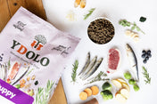 Ydolo Puppy wieprzowina Iberico ryby karma półwilgotna dla psa