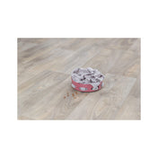 Cat Activity Hide'n'Sniff Bowl – miska edukacyjna dla kota