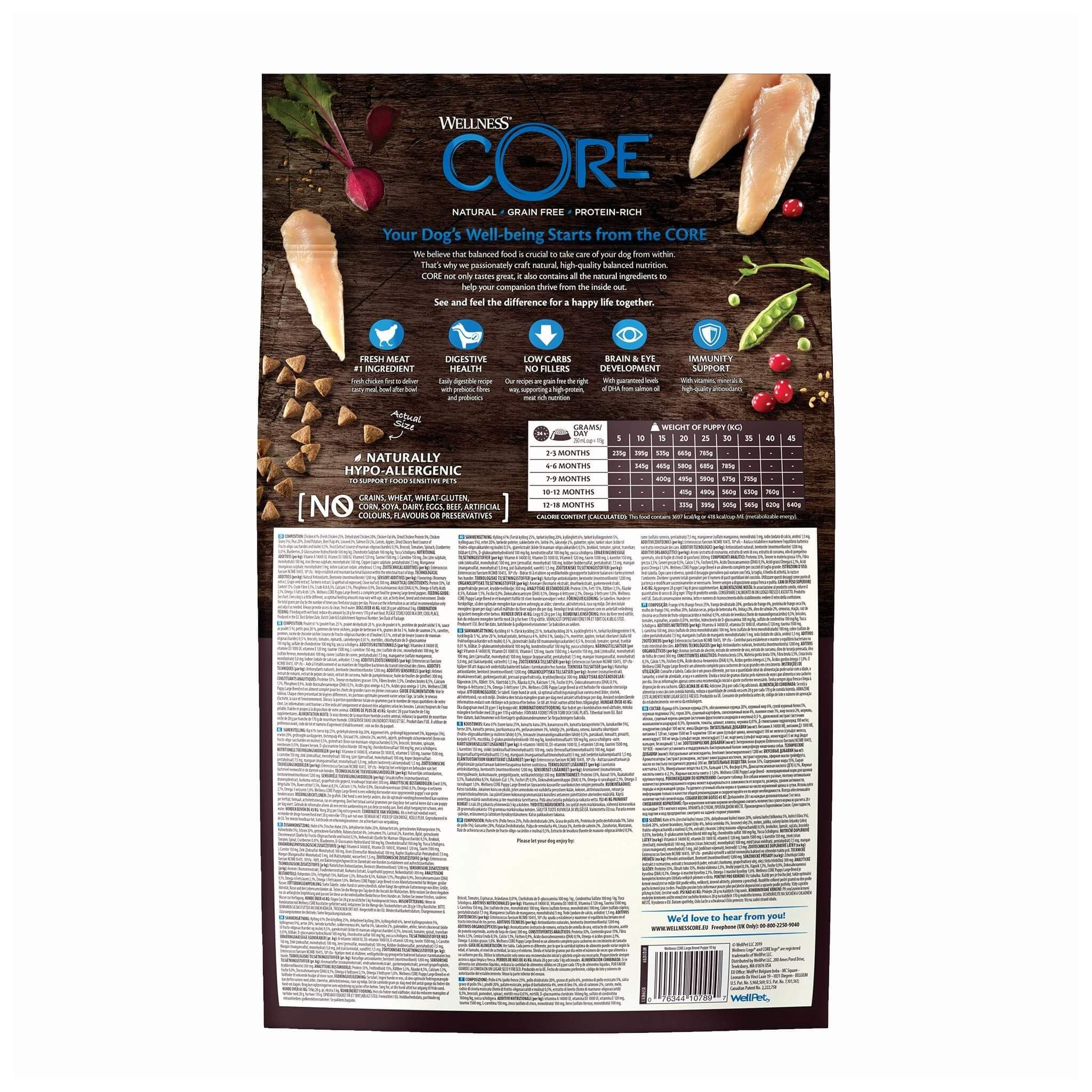 Wellness CORE Large Breed Puppy – kurczak 10 kg