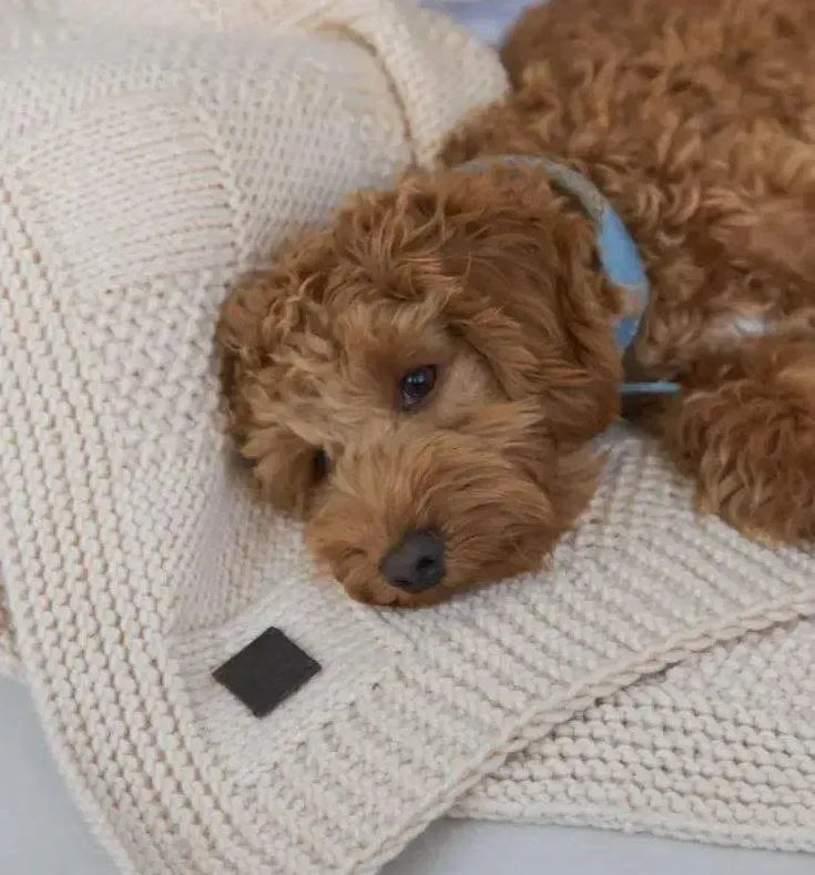 Kocyk dla psa „Chess” – w kolorze beżowym (50 × 70 cm)