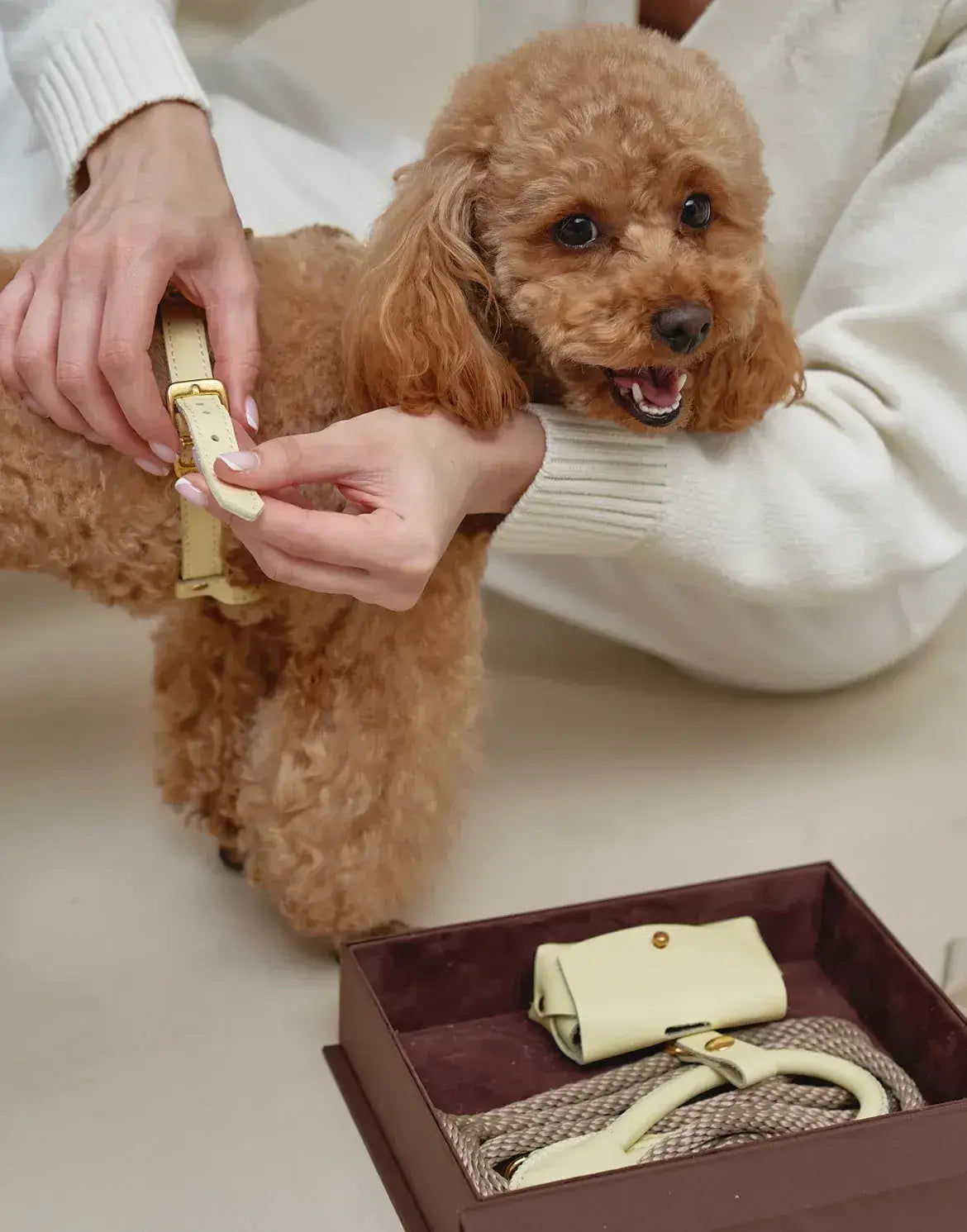 Luksusowy komplet akcesoriów dla psa – ręcznie robiony, premium