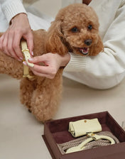 Luksusowy komplet akcesoriów dla psa – ręcznie robiony, premium