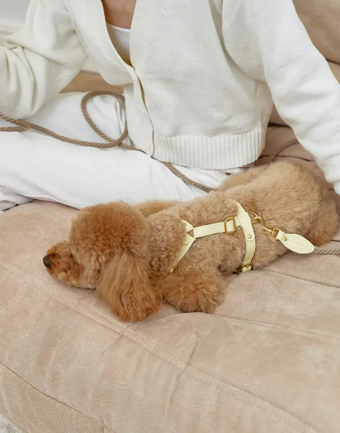 Luksusowy komplet akcesoriów dla psa – ręcznie robiony, premium