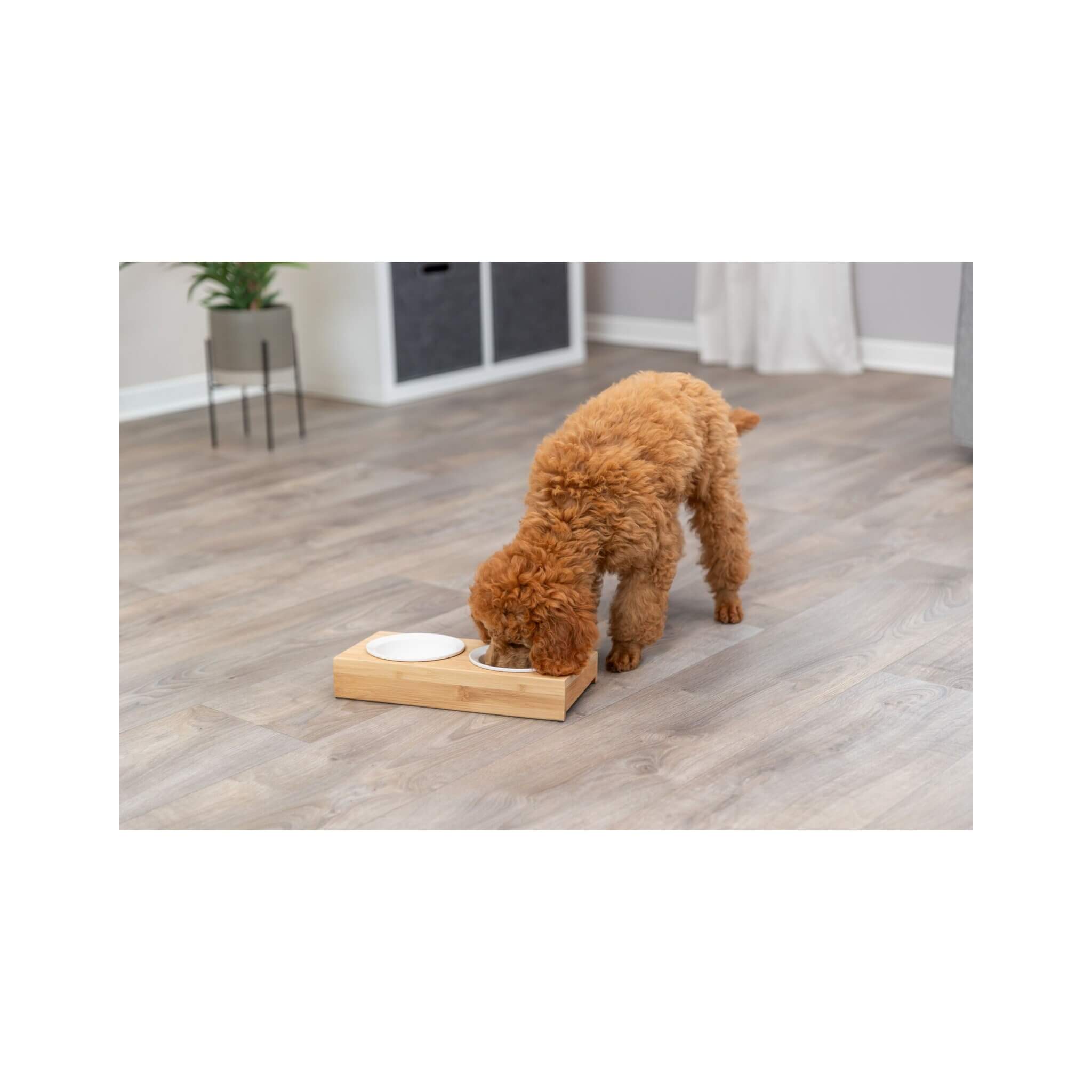 Miski ceramiczne na stojaku 2×0,25L biały/bambus