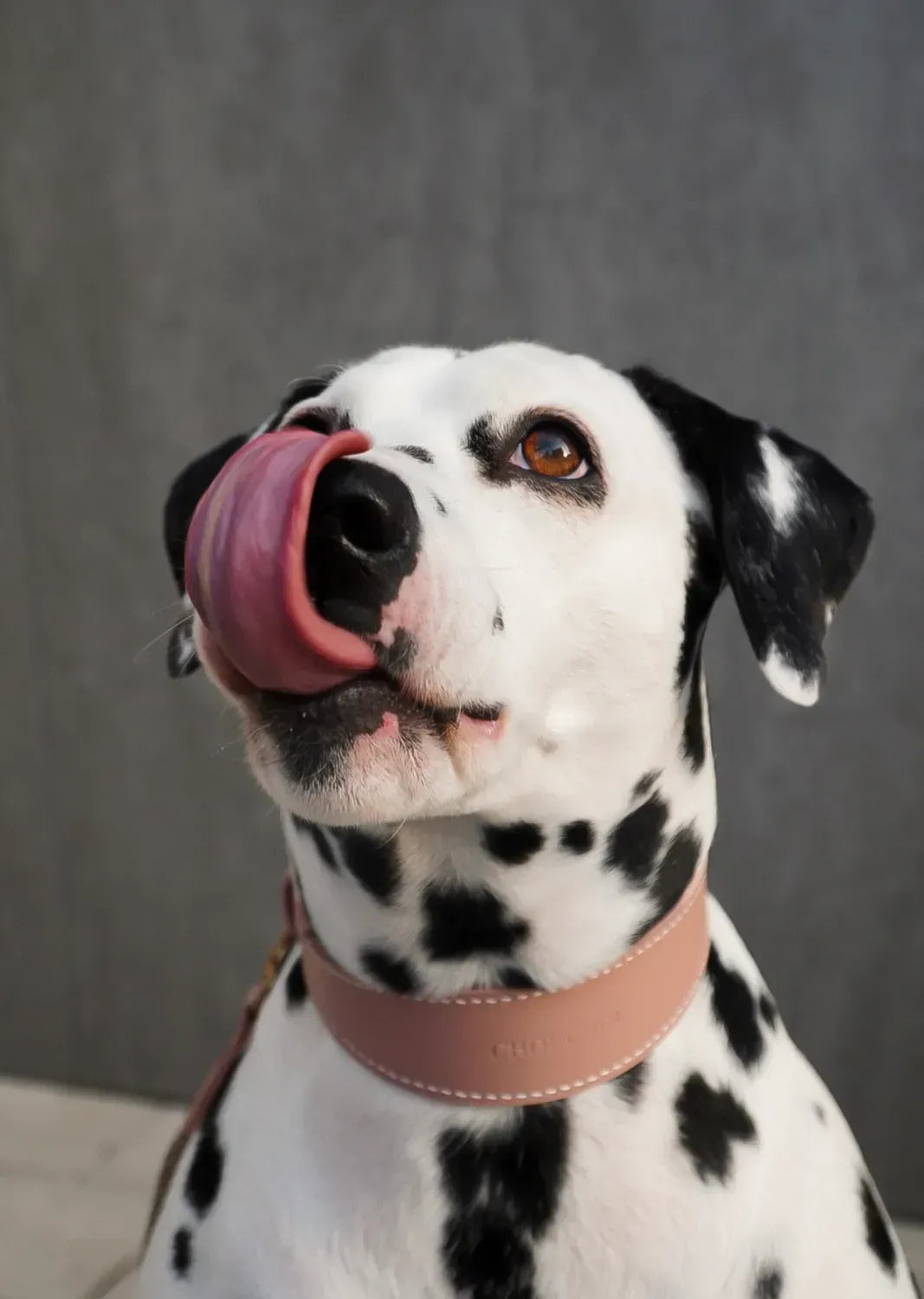 Obroża dla psa „Almond” – lekkość, komfort i ręczne rzemiosło