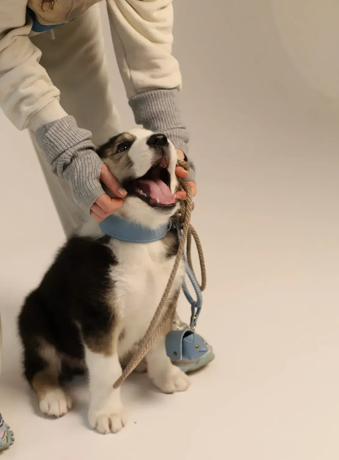 Obroża dla psa „Almond” – lekkość, komfort i ręczne rzemiosło