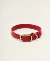 Obroża dla psa „Classy” – elegancja w minimalistycznym wydaniu