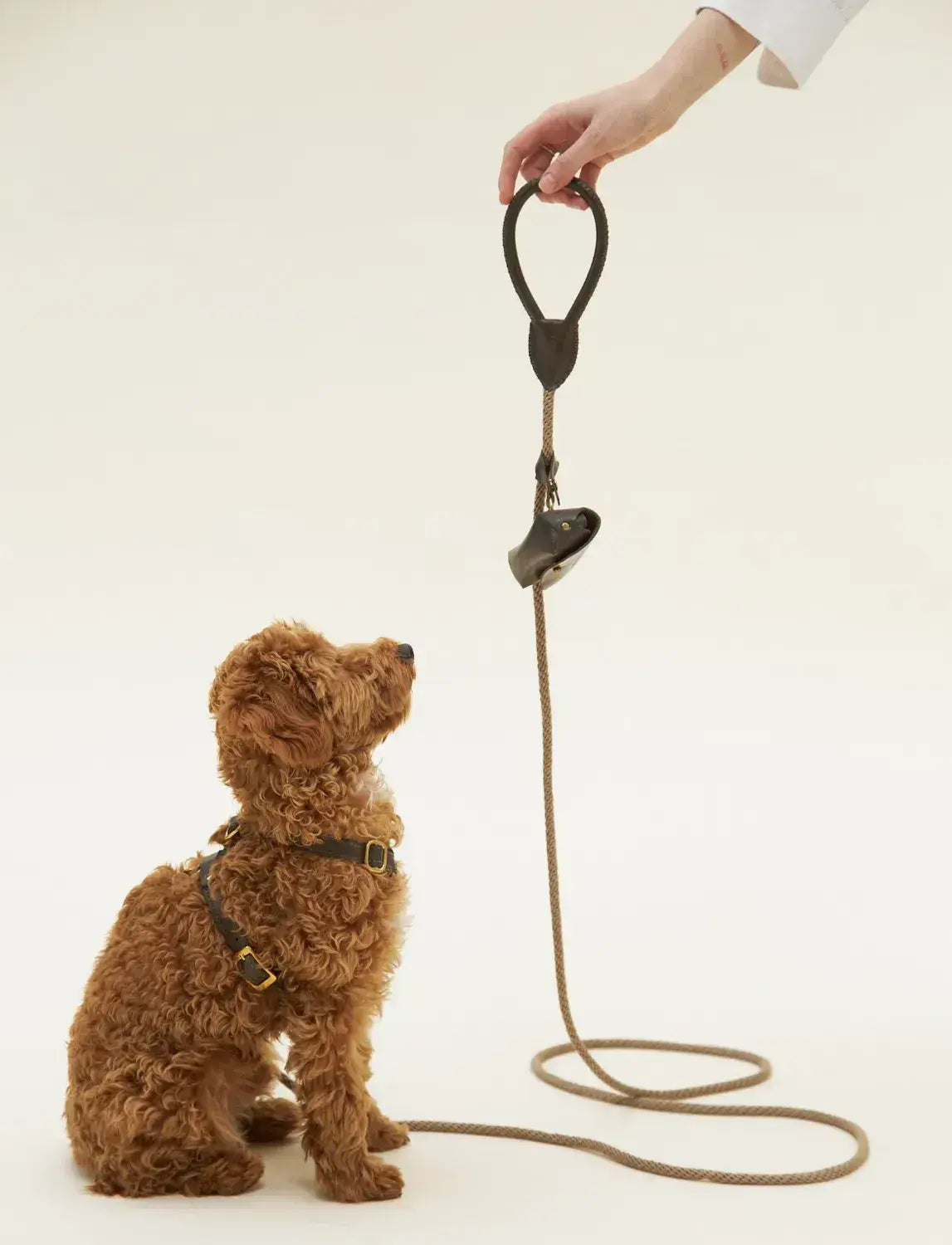 Luksusowa smycz dla psa Classy oliwkowa z beżową liną – ręcznie robiona, premium