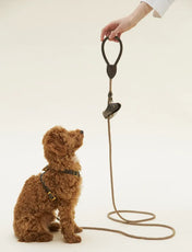 Luksusowa smycz dla psa Classy oliwkowa z beżową liną – ręcznie robiona, premium