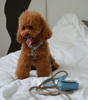 Luksusowe szelki dla psa Classy – ręcznie robione z włoskiej skóry, premium