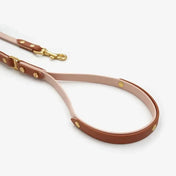 Smycz dla psa „BioThane” – w kolorze proszek z czerwienią