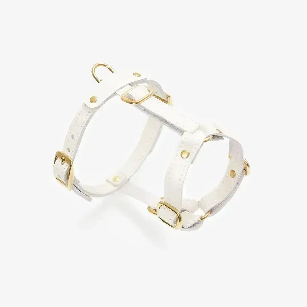 Luksusowe szelki dla psa Classy – ręcznie robione z włoskiej skóry, premium