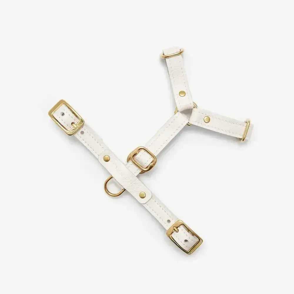 Luksusowe szelki dla psa Classy – ręcznie robione z włoskiej skóry, premium