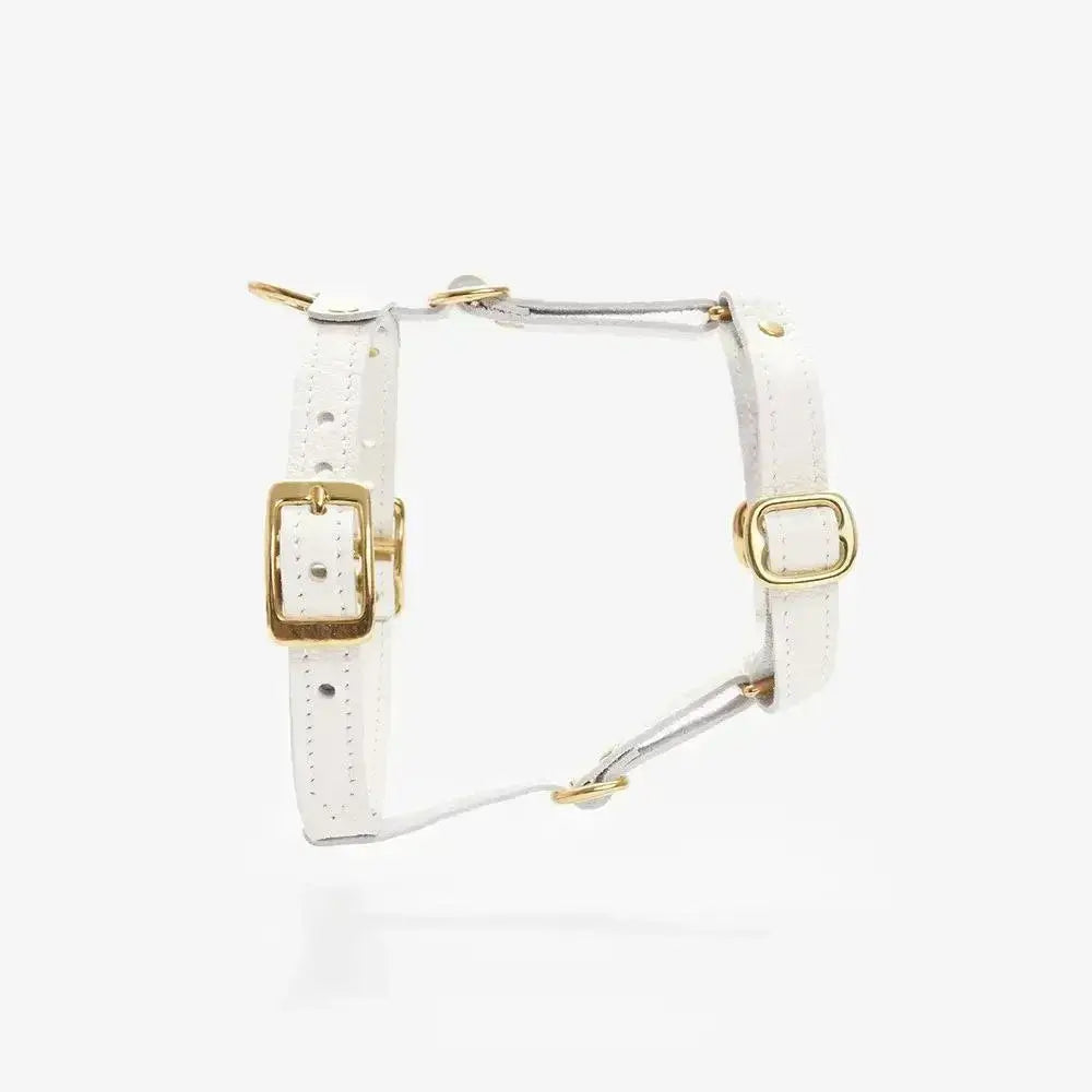 Luksusowe szelki dla psa Classy – ręcznie robione z włoskiej skóry, premium