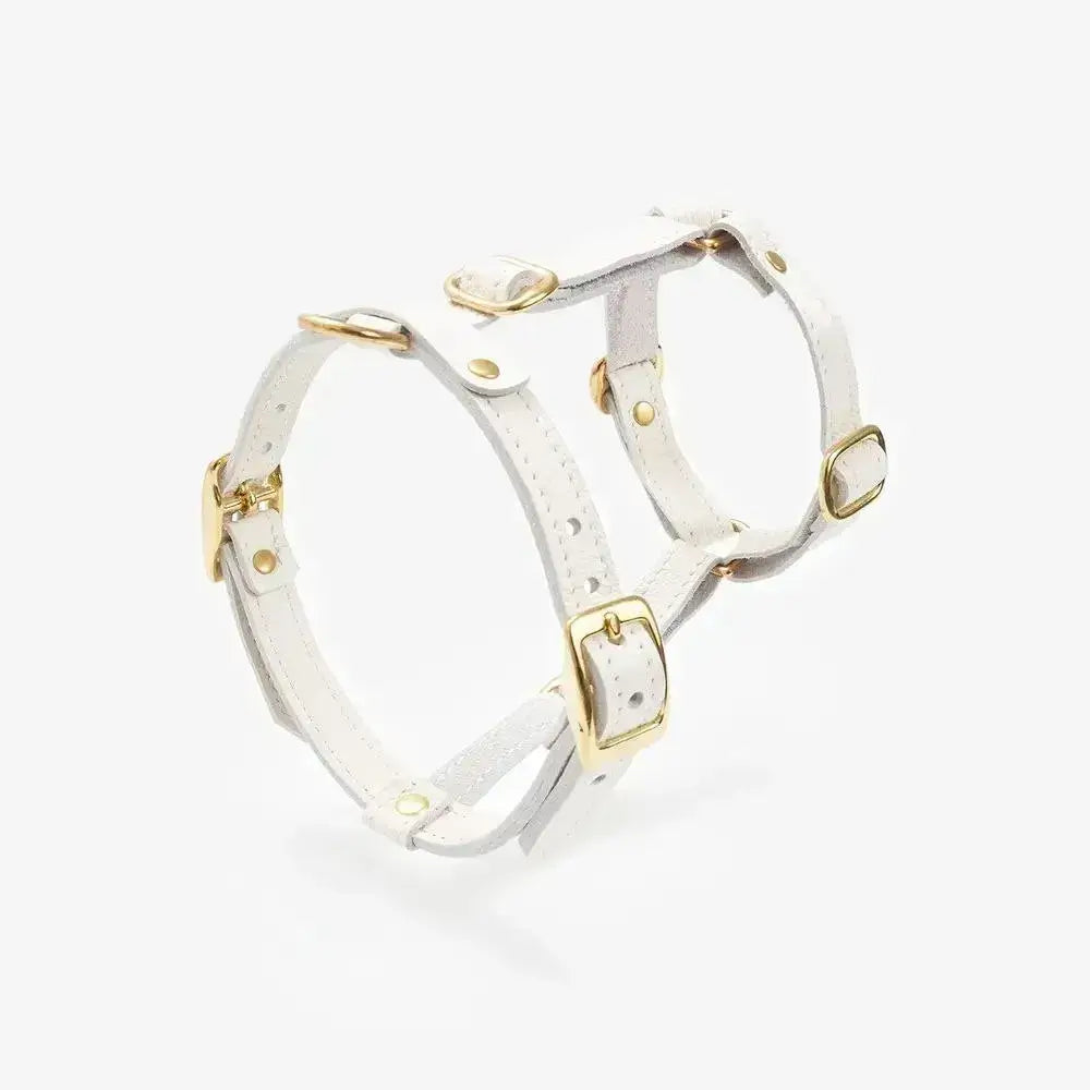 Luksusowe szelki dla psa Classy – ręcznie robione z włoskiej skóry, premium