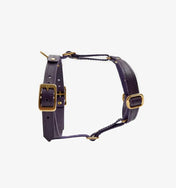 Luksusowe szelki dla psa Classy – ręcznie robione z włoskiej skóry, premium