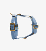 Luksusowe szelki dla psa Classy – ręcznie robione z włoskiej skóry, premium