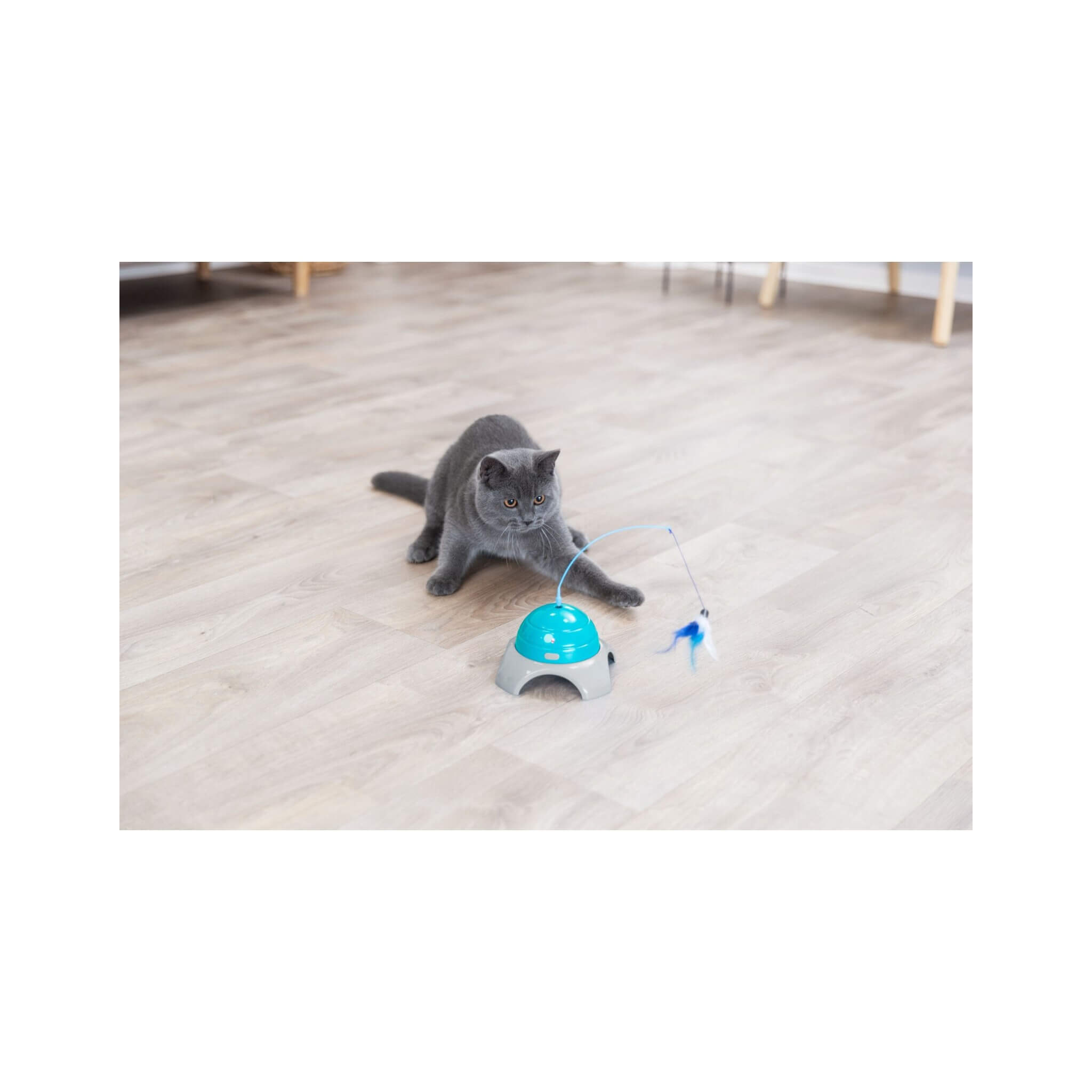 Zabawka dla kota Catch Me z pilotem, zdalnie sterowana