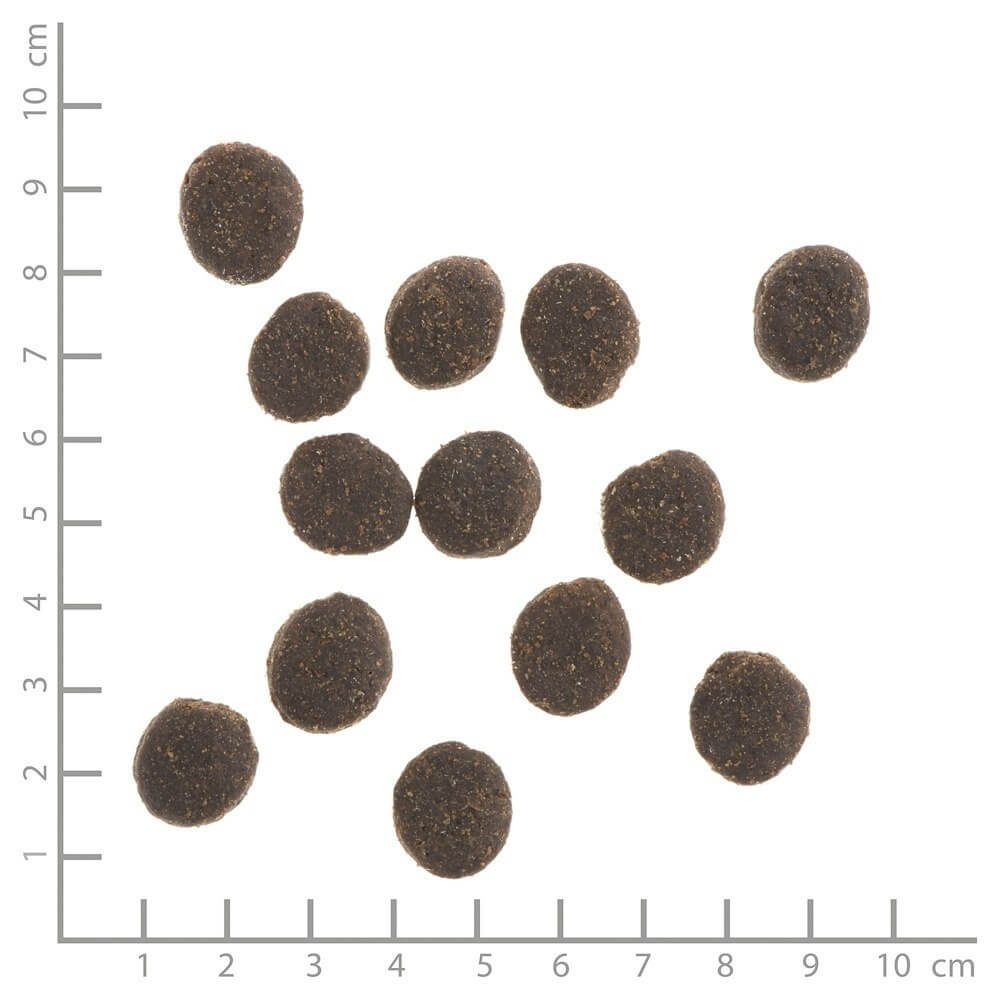 WILDES LAND DOG Kaninchen - królik z ziemniakami i ziołami