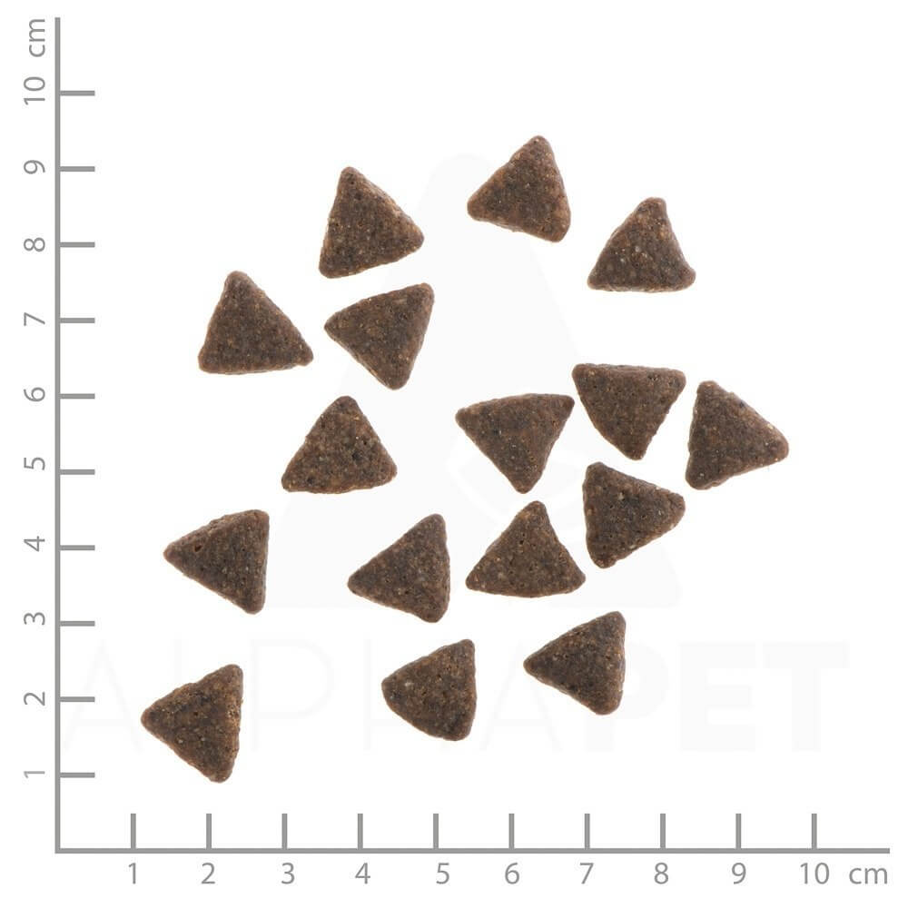 WILDES LAND DOG Pferd - konina z ziemniakami i ziołami