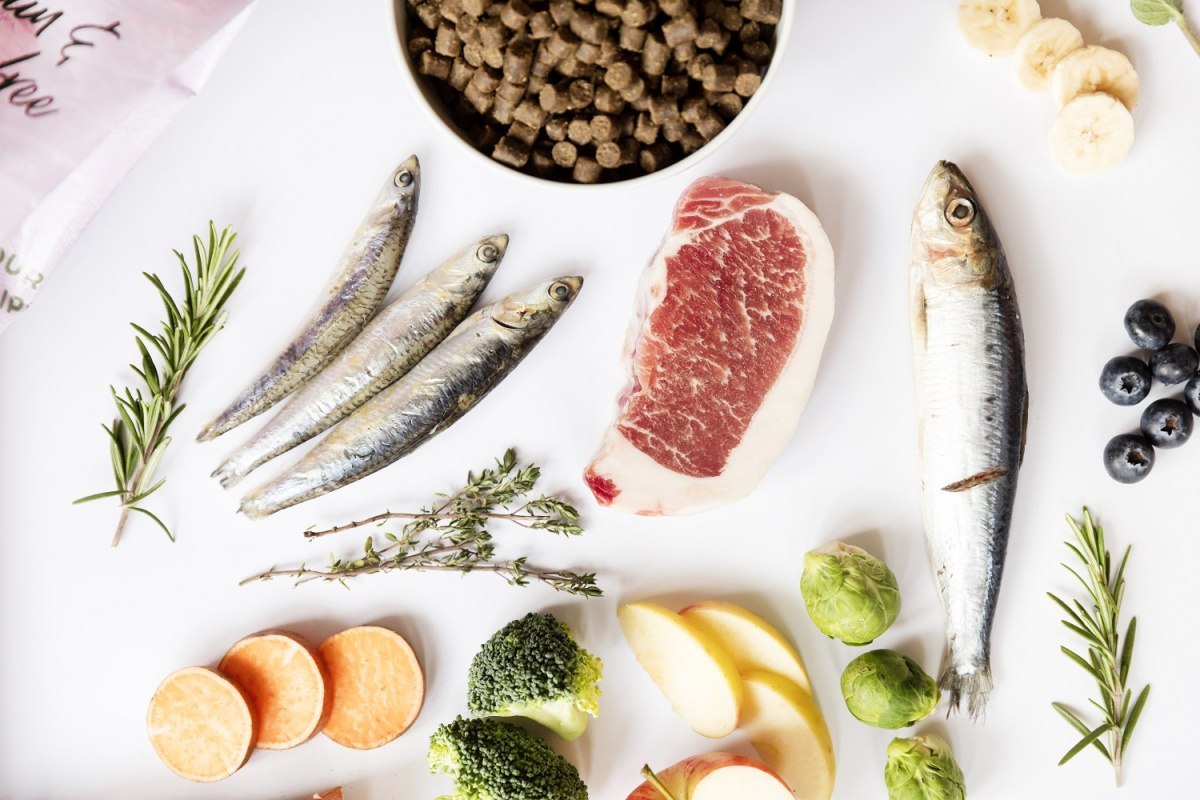 Ydolo Puppy wieprzowina Iberico ryby karma półwilgotna dla psa